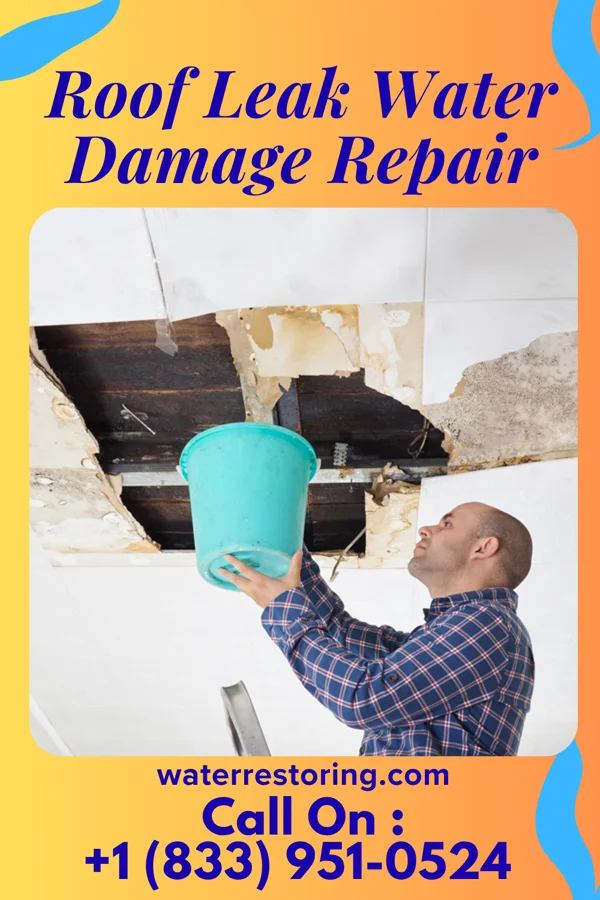 Roof Leak Water Damage Repair in Big Bow, KS